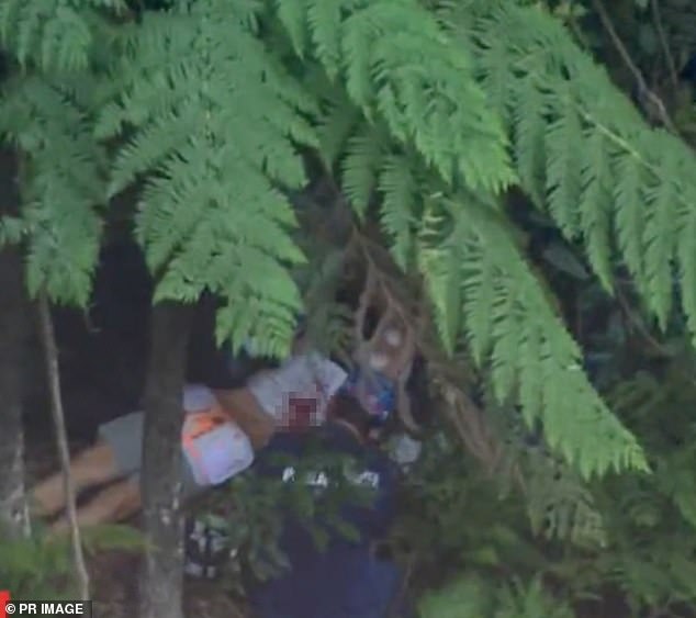 A teenage boy and a woman were airlifted to hospital in critical conditions, while a fifth family member - a 15-year-old girl - was uninjured