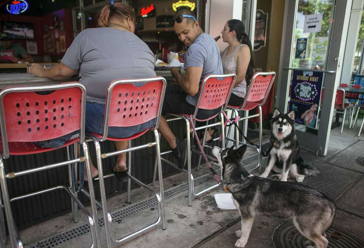 Andrew Dyson turns to check out Siberian husky Zirconia on the terrace of Luther's Cafe.