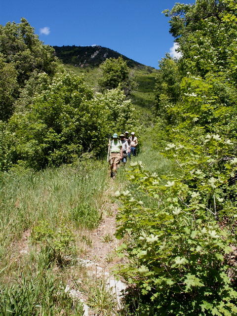 LHC hjkers in Oquirrh mtns.