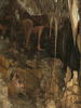 The Parachute, Lehman Caves