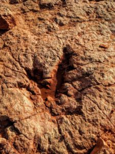 Hiking in Southern Utah: Dino Cliffs Trail