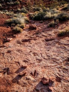 Hiking in Southern Utah: Dino Cliffs Trail