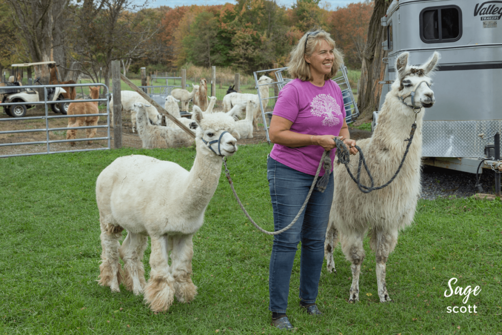 Farmer Andrea with an alpaca and a llama.