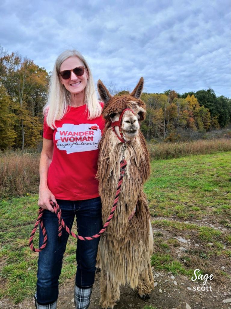 Hike with an alpaca.