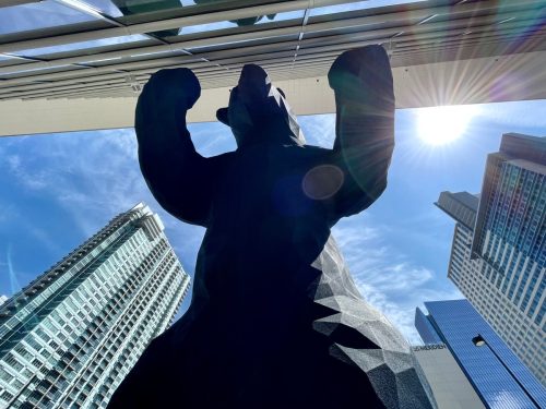 Blue bear leaning on the window in Denver