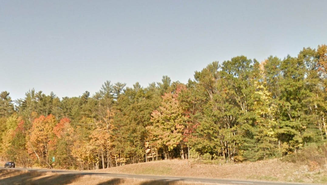 Their bodies were discovered days later with multiple gunshot wounds